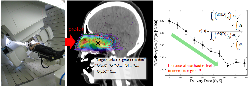 体内中陽子線照射領域可視化・腫瘍線量応答性観測システム（プロトタイプ）及び照射領域可視化、腫瘍線量応答性観測結果の例。